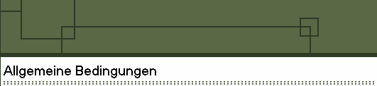 Allgemeine Bedingungen